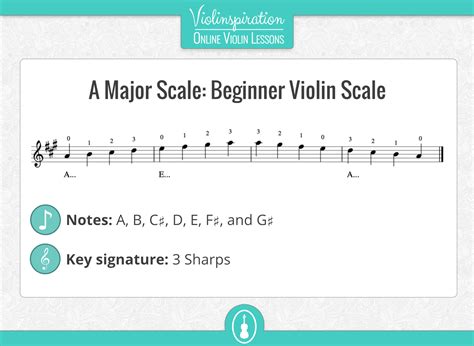 Violin Scales The 5 Most Commonly Used Violin Scales Violinspiration