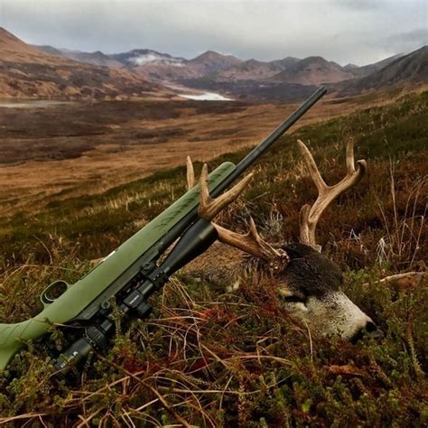 Alaskas List Guns And Hunting Classifieds Ru