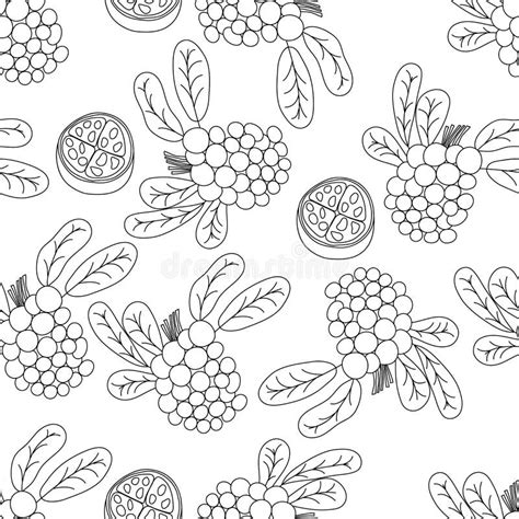 Tropical Fruits Line Seamless Pattern Black And White Botanical