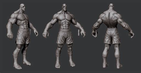 Other muscles are small and cover much less space. Caldria - ArenaNet Art Test — polycount