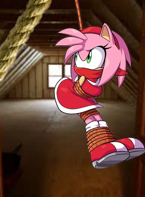Pin By Randy On Mis Pines Guardados In Amy Rose Sonic Art Girl Tied Up