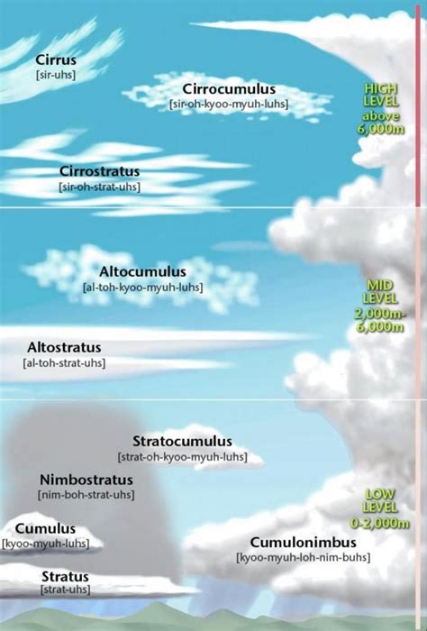 Cloud Guide Types Of Clouds And Weather They Predict Weather