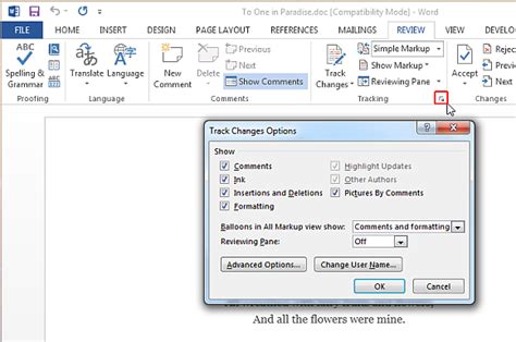 How To Customize Track Changes Feature In Word 2013