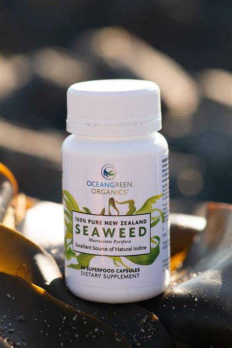 Seaweed Kelp Supplements New Zealand Premium 100 Pure Organic