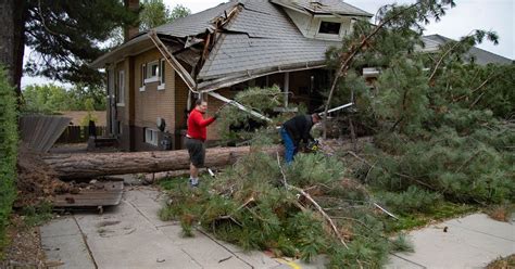 Hurricane Force Winds Kill One Topple Hundreds Of Trees And Knock Out Power For 170000 Residents