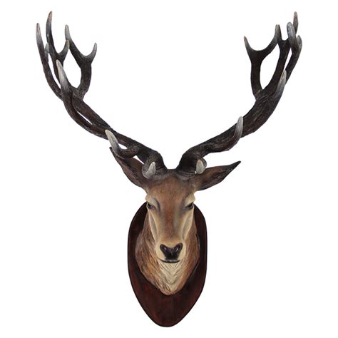 Deer Head Transparent Png Png Mart