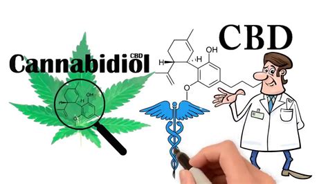 Why You Need Cbd The Endocannabinoid System Explainedmp4 Youtube