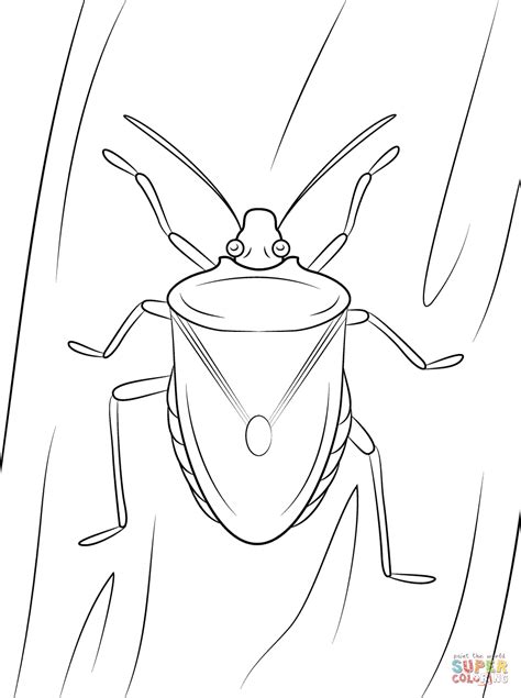 Stink Bug Coloring Page Download And Print For Free