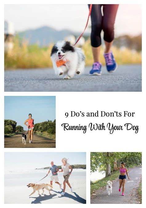 9 Dos And Donts For Running With Your Dog · The Everyday Dog Mom