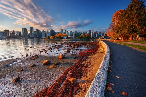 Explore Vancouver Foliage From The Seat Of Your Cycle