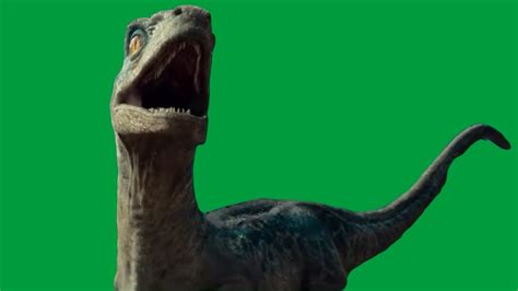 Raptor Jurassic World Dominion Green Screen Youtube
