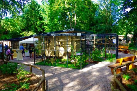 Landau Zoo Landau In Der Pfalz Eröffnet Volierenanlagen Für Bedrohte