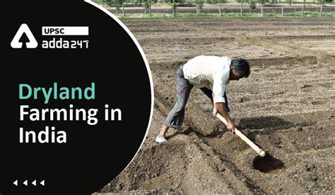 Dryland Farming In India