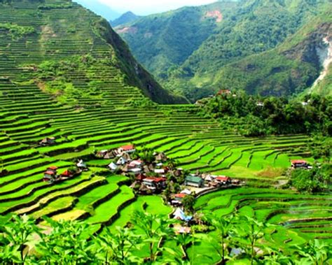 Banaue Rice Terraces Ideas To Chill