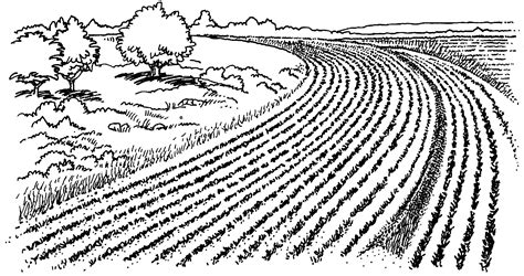 Free Farming Field Cliparts Download Free Farming Field Cliparts Png