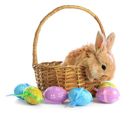 Fluffy Foxy Rabbit In Basket With Easter Eggs Isolated On White Regis