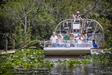 Parque Safari De Los Everglades Tour En Hidrodeslizador Getyourguide