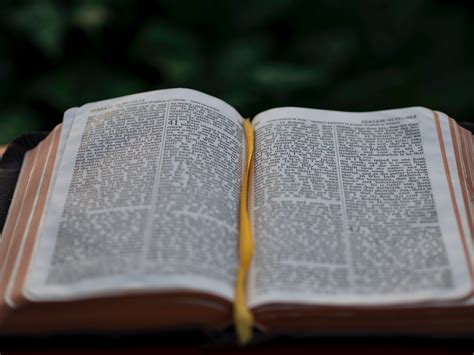 An Open Bible Outdoors Religious Text 4k Hd Wallpaper