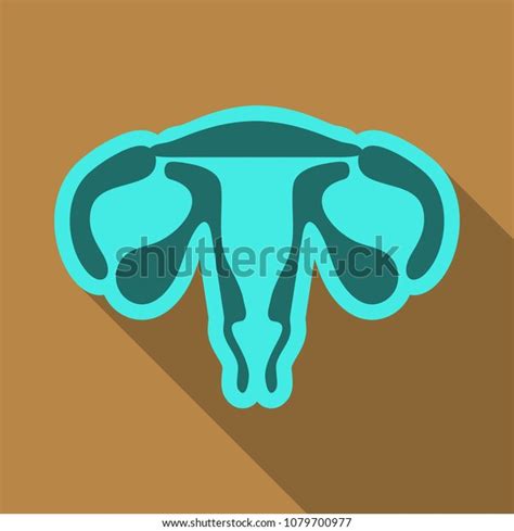 Illustration Female Reproductive System Human Anatomy Stock Vector