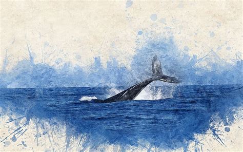 Hd Wallpaper Whale Swim In Water Painting Watercolor Sea Animals In