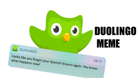 Duolingo Memes Are Duolingo Memes Dead Yet Memes About Duolingo