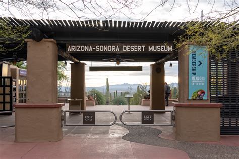 Arizona Sonora Desert Museum Adammartinspace