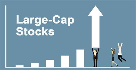 Understanding Large Cap Stocks
