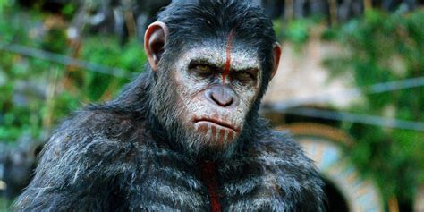 Caesar Is More Human In War For The Planet Of The Apes
