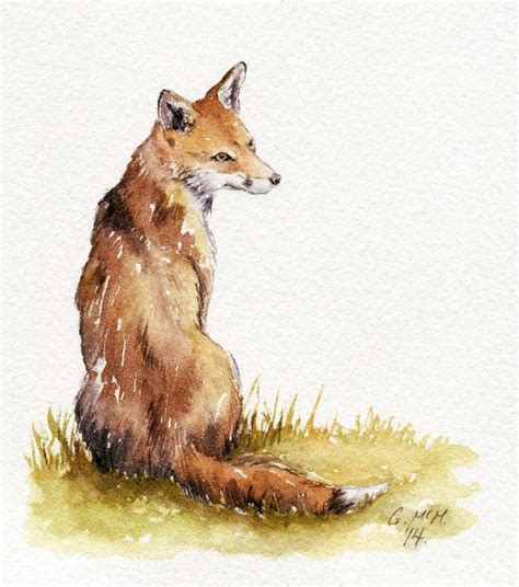 Fox Sketch Watercolour Watercolor Sketch Watercolor Artwork