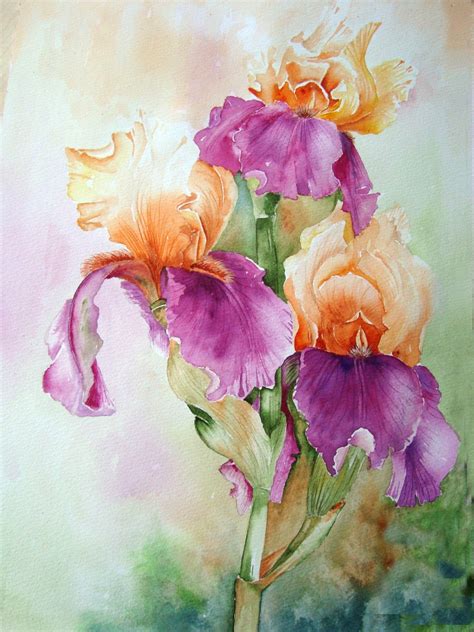 Watercolour Florals Iris Jazz Festival Floral Watercolor Iris Art