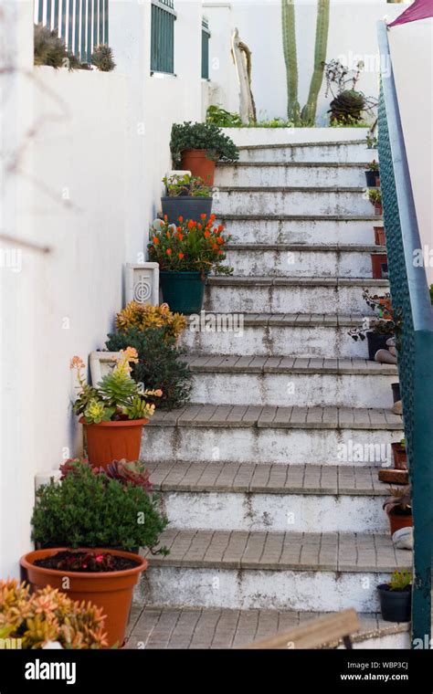 Potted Plants Along Staircase Stock Photo Alamy
