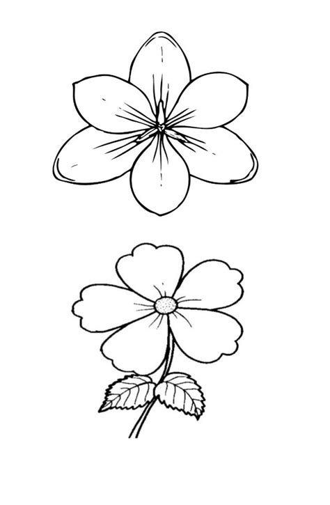 Sketsa Gambar Bunga Sederhana Gambar Sketsa Bunga Yang Mudah Dibuat