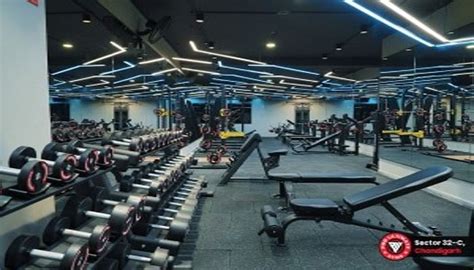 Pro Ultimate Gym Sector 32 Chandigarh In Chandigarh Fitpass