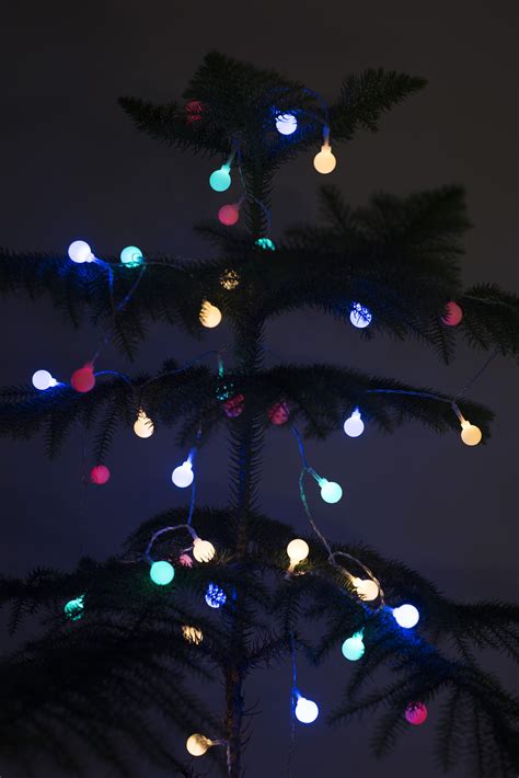 Free Stock Photo 13166 Colorful glowing lights on a Christmas tree | freeimageslive