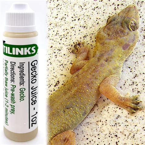 Gecko Juice Reptilinks