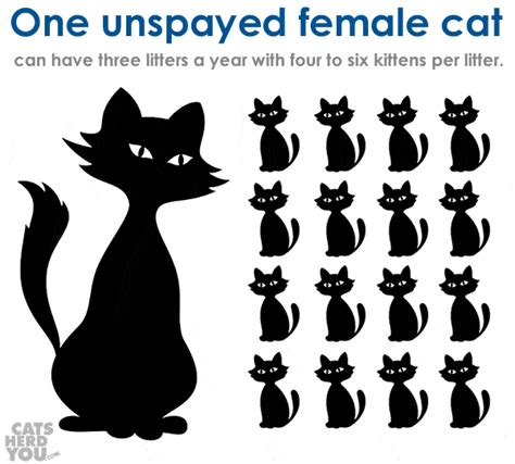 Key behavior differences between male and females that have not been spayed or neutered cats include: Why Spay and Neuter? - Cats Herd You