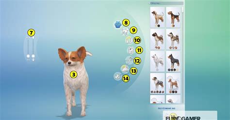 Sims 4 Psy I Koty Tworzenie Zwierząt Eurogamerpl