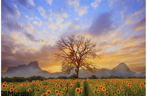 Beautiful Landscape Dry Tree Branch Sun Flowers Field Against Colorful Evening Dusky Sky Use As