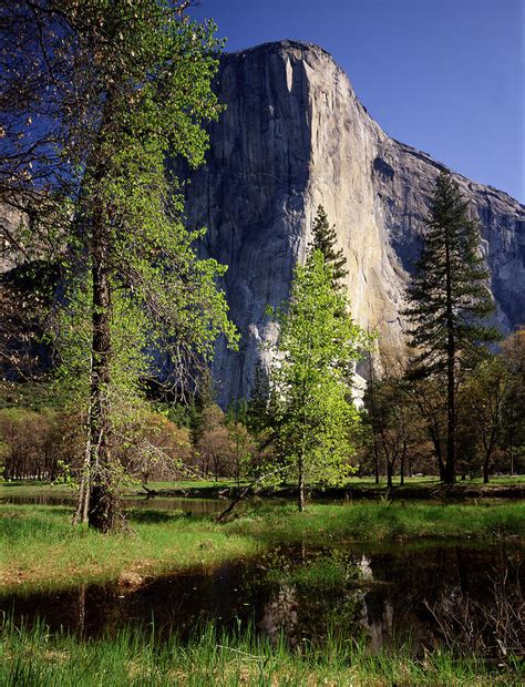 El Capitan Yosemite National Park By Ron And Patty Thomas