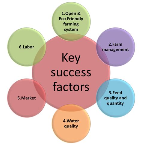 Critical Success Factors Business