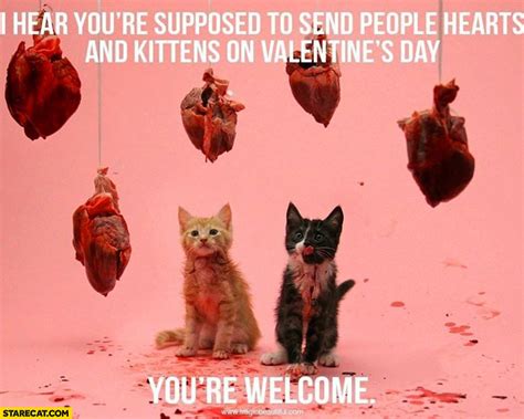 i hear you re supposed to send people hearts and kittens on valentine s day you re welcome