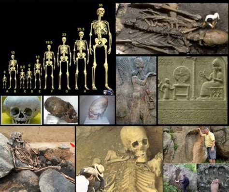 In The Last Decade It Has Been Discovered More Than 1000 Skeletons Of