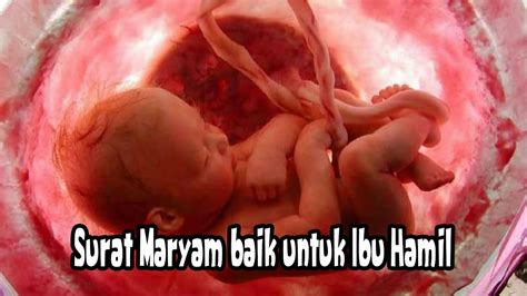 Bacaan surat maryam & surat yusuf baik buat ibu hamil. Surat maryam Untuk Ibu Hamil Niscaya anak perempuan ...