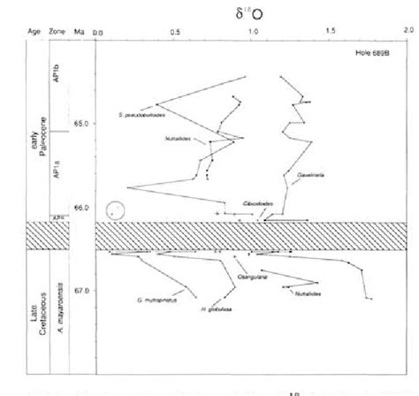 Pdf The Paleoceanographic And Paleoclimatic Signature Of The