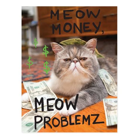 Meow Money Meow Problemz Postcard Uk