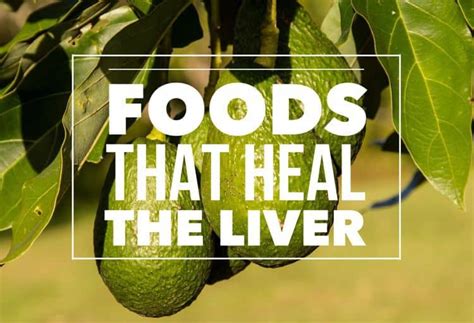 If your liver function results are out of range, your doctor might do an ultrasound scan or biopsy to check for liver damage. Foods That Heal the Liver