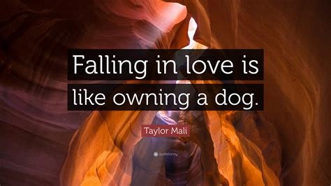 Taylor Mali Quote “falling In Love Is Like Owning A Dog”