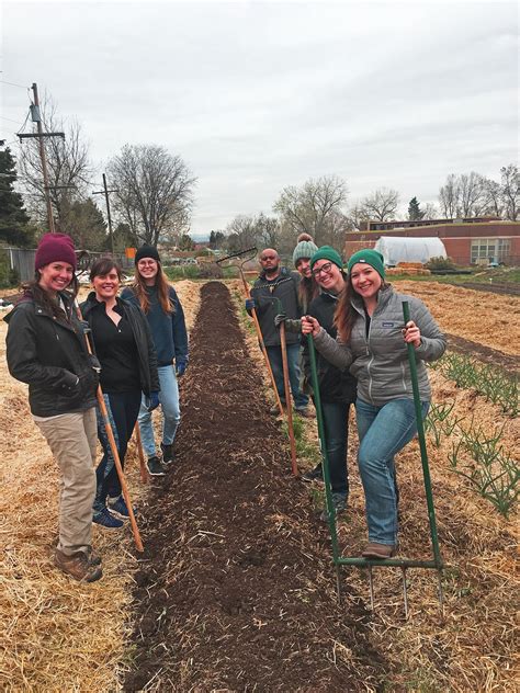 Volunteer — Sprout City Farms