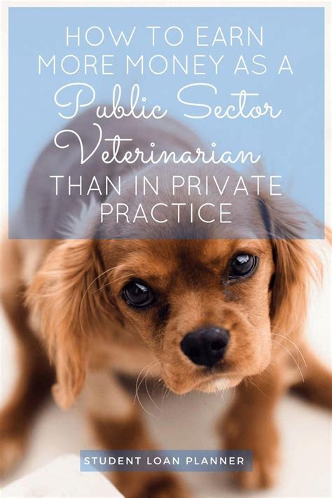 Veterinary Residents Have The Most Attractive Job Financially In The
