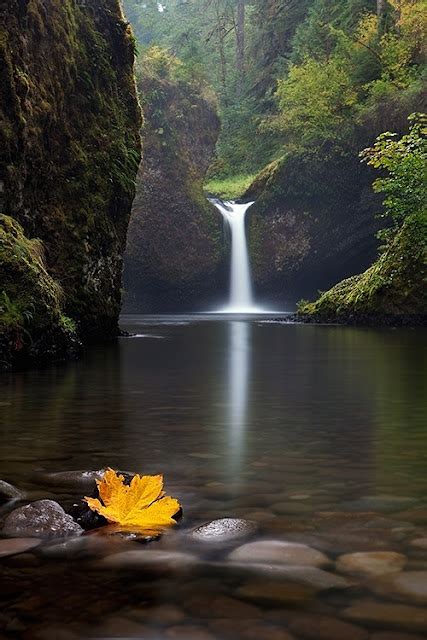 Punch Bowl Falls Columbia River Gorge National Scenic Area Oregon